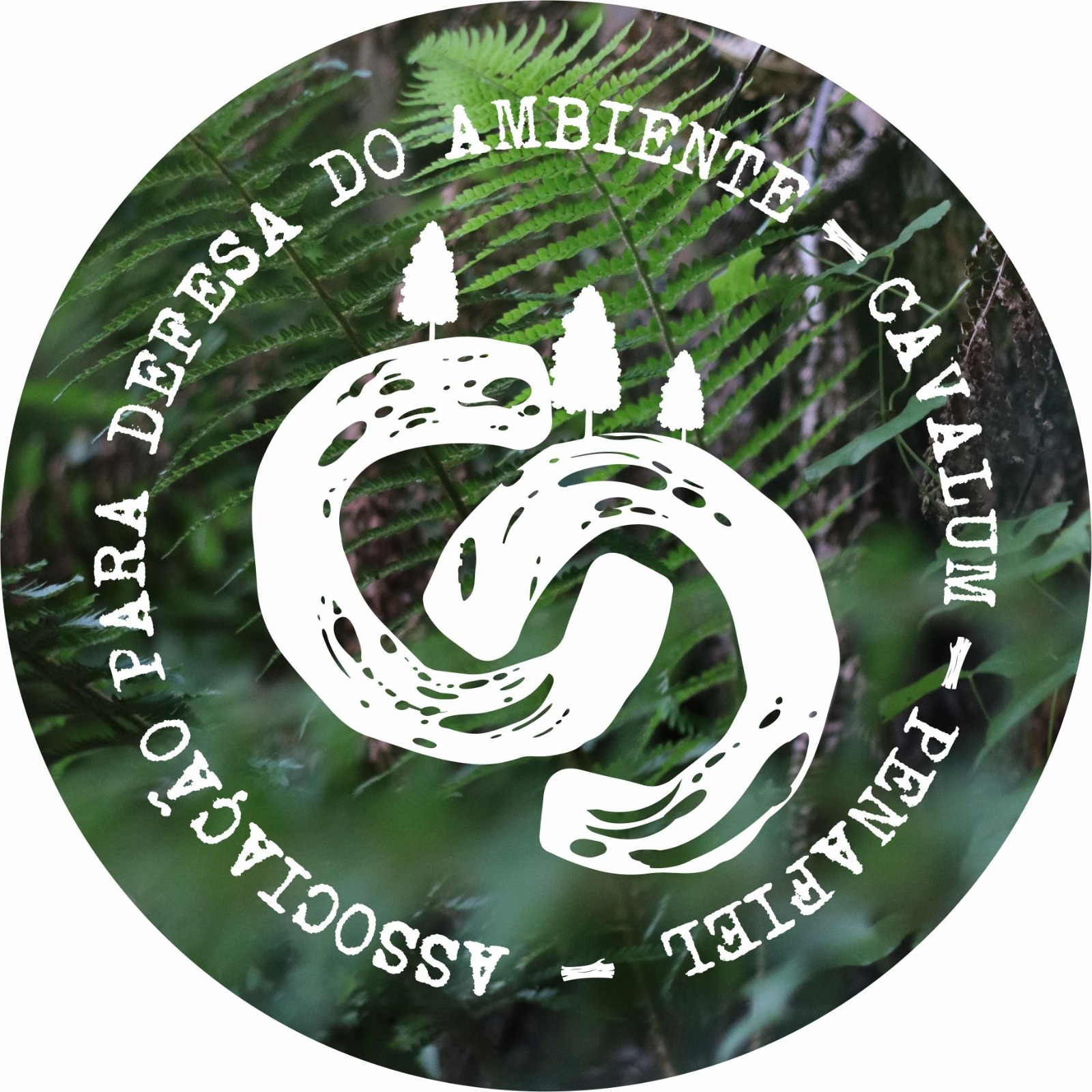 Associação Cavalum