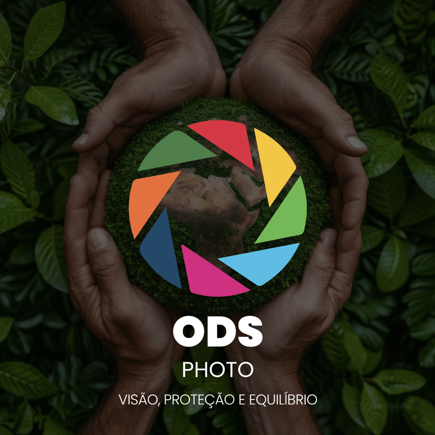 ISCE Douro dinamiza 2.ª edição do Concurso de Fotografia - ODS PHOTO - Visão, Proteção e Equilíbrio