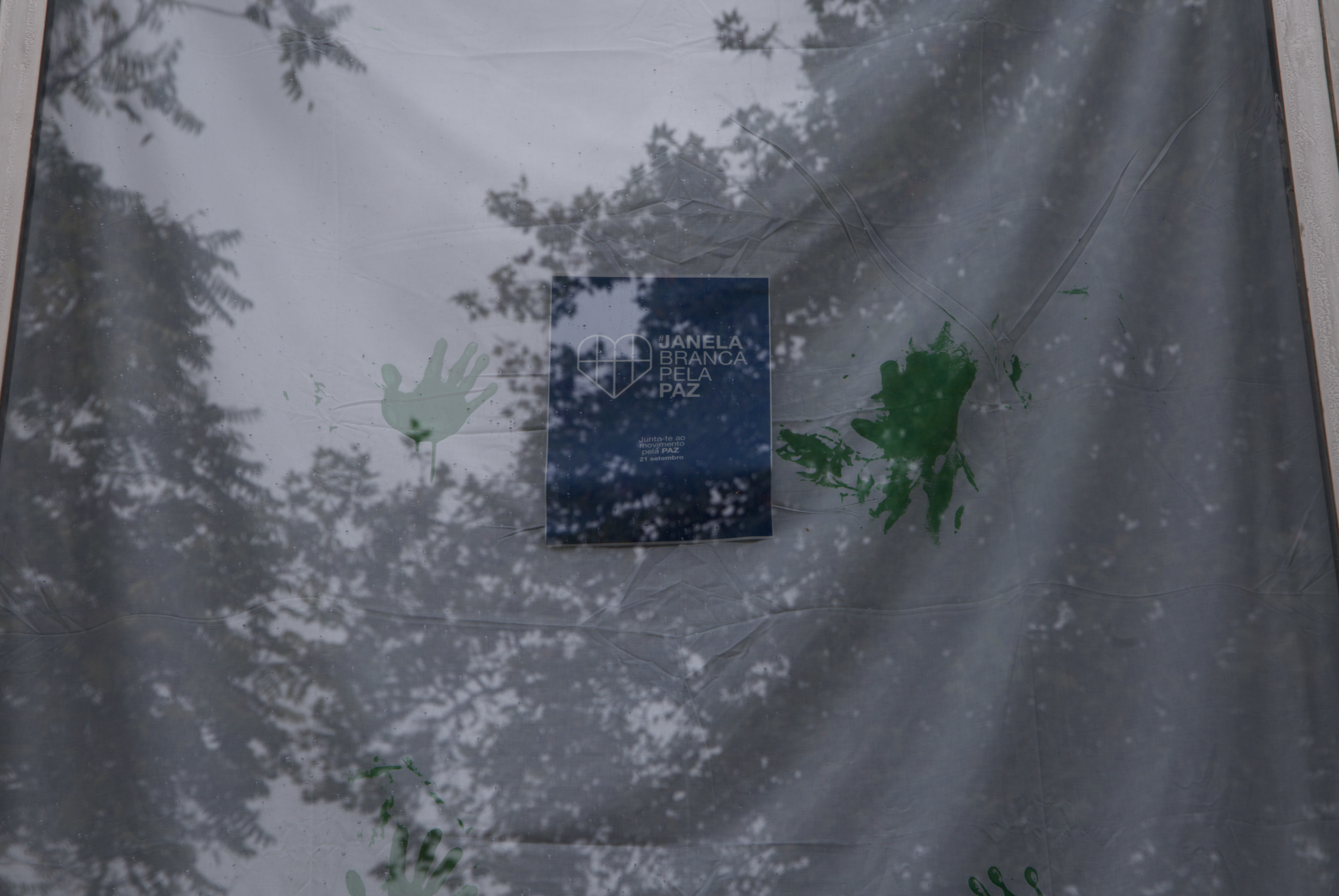 ISCE Douro assinala o Dia Internacional da Paz